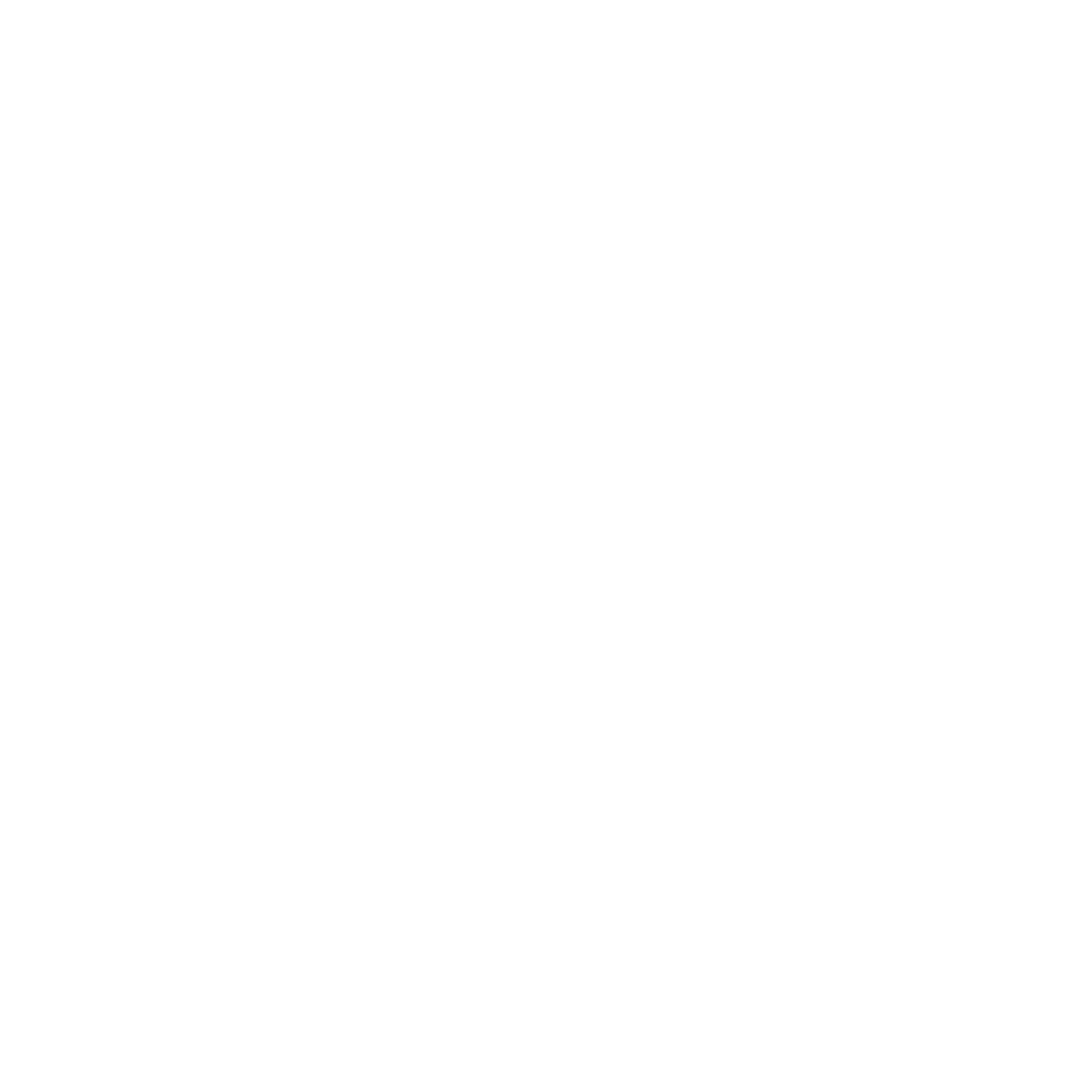 Deputy Commander