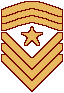 Sergeant Major